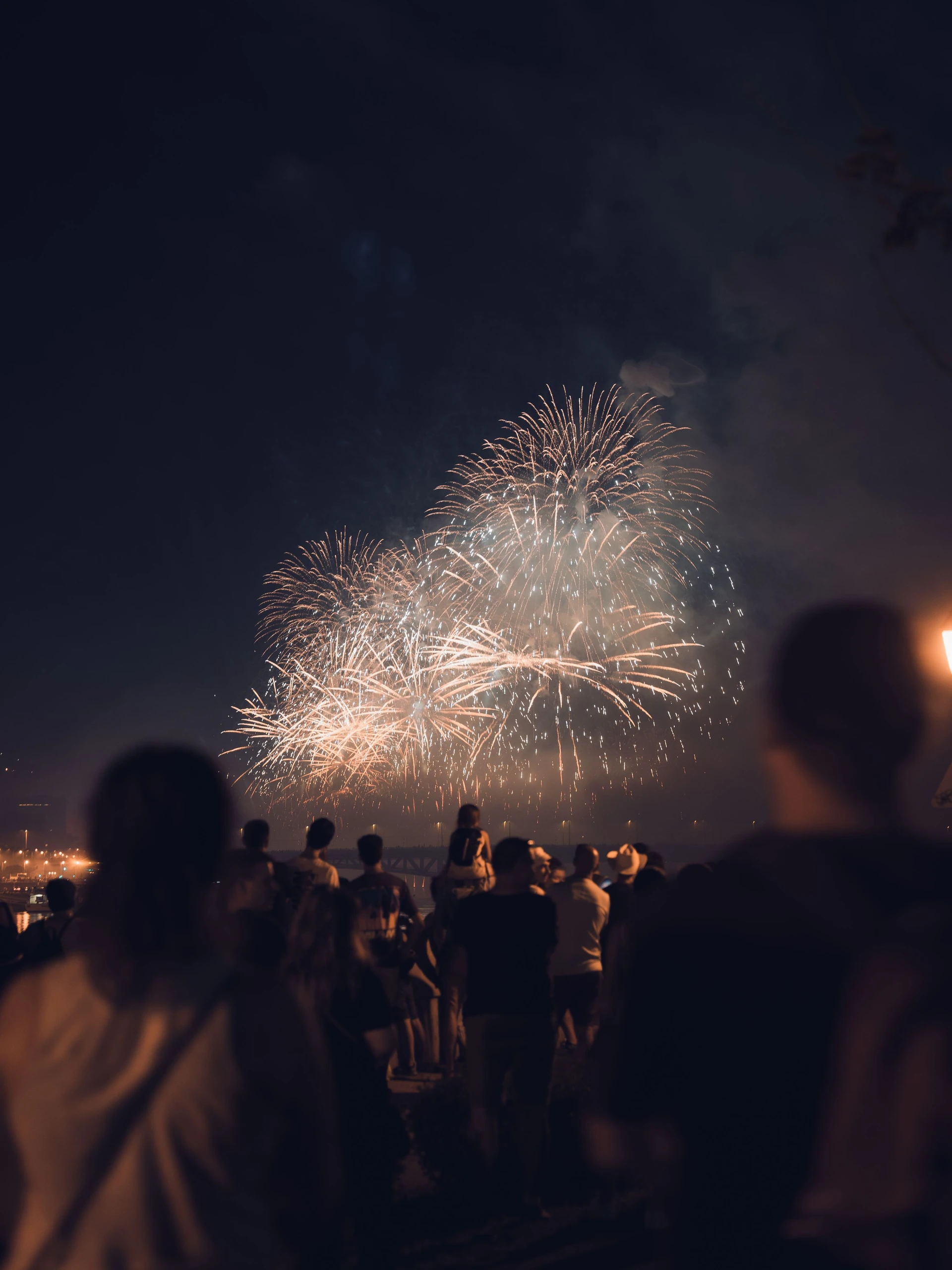Año Nuevo de la Familia Castañeda